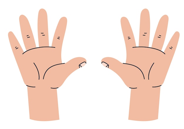 Ilustración de diseño gráfico del concepto del gesto de la palma de la mano con los dedos del brazo