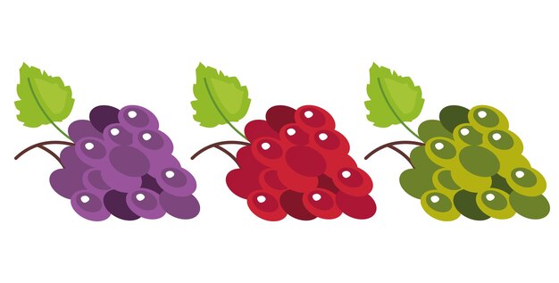 Ilustración de diseño gráfico vectorial de diferentes tipos de color de conjunto aislado de uvas
