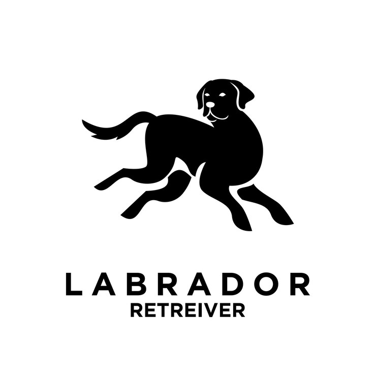 Vector ilustración del diseño del icono del logotipo del labrador retriever