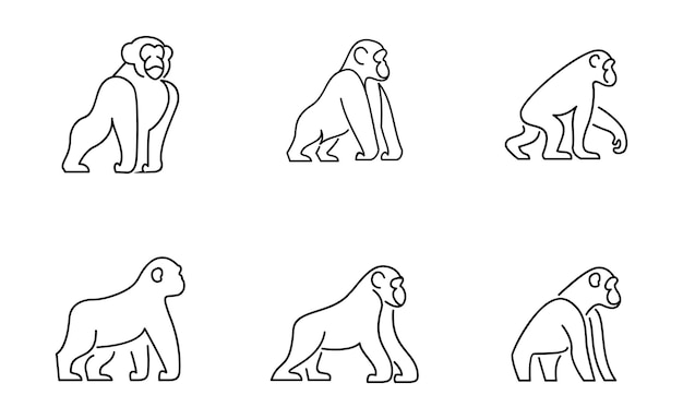 Ilustración del diseño del icono del logotipo de Set Chimpanzee Line