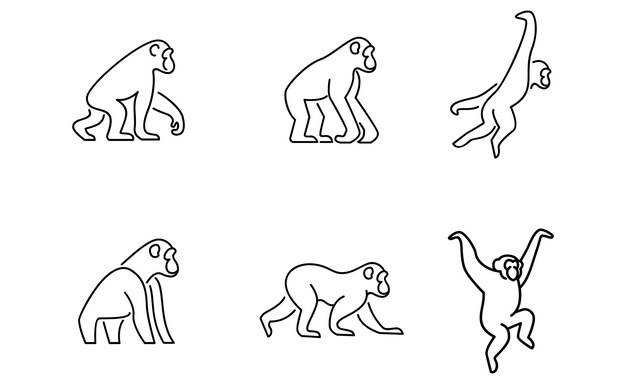 Ilustración del diseño del icono del logotipo de Set Chimpanzee Line