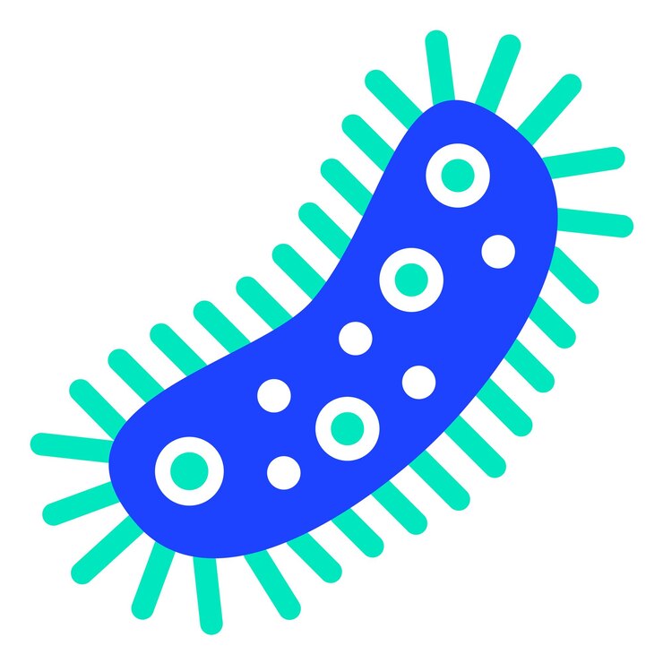 Vector ilustración del diseño del icono del vector de bacterias