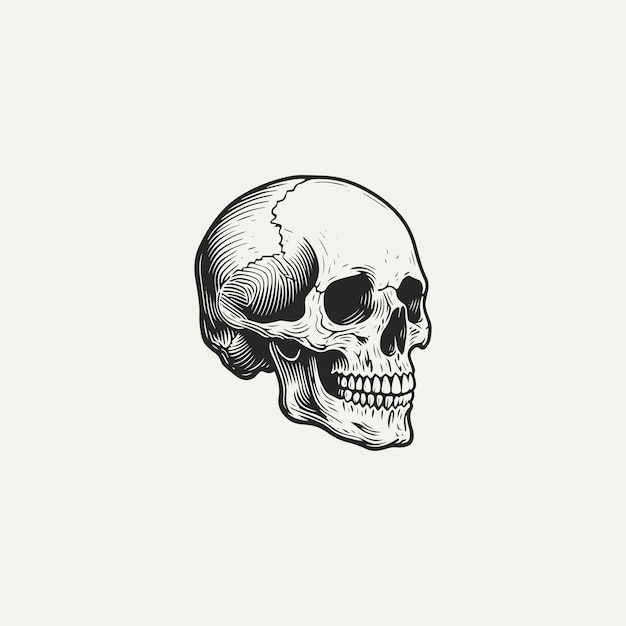 Ilustración del diseño del logotipo del estilo de grabado vintage del cráneo de la cabeza