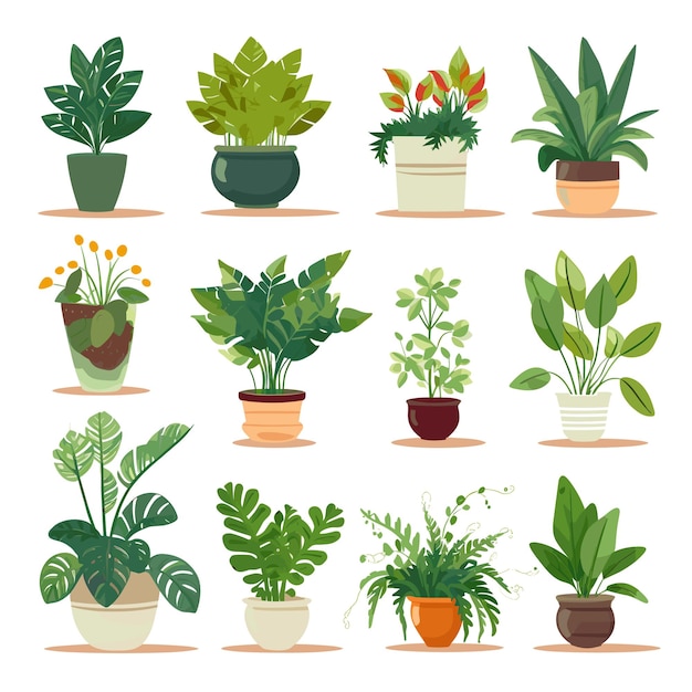 Vector ilustración del diseño plano del conjunto de plantas de interior