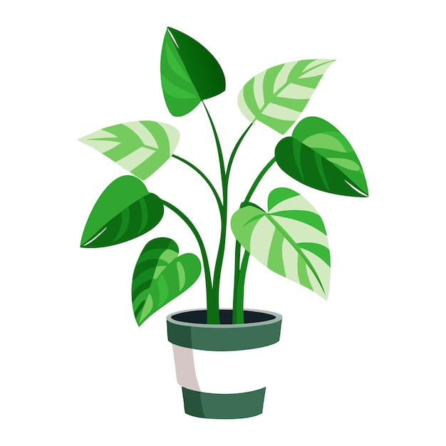 Ilustración del diseño de la planta de potos de vector mínimo en la olla