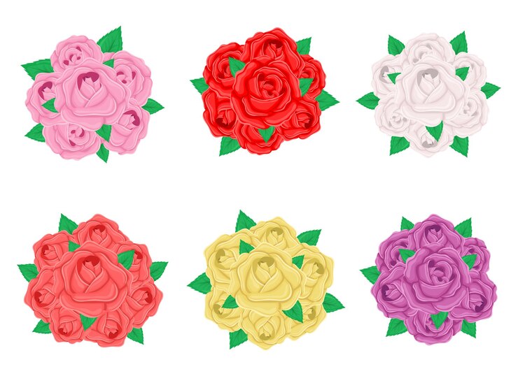 Vector ilustración de diseño de ramo de rosas aislado sobre fondo blanco