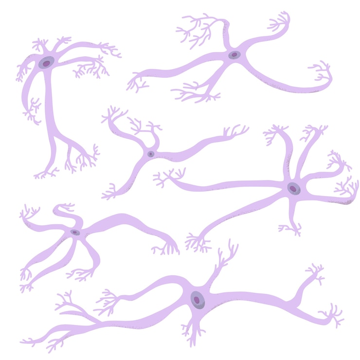 Vector ilustración del diseño sencillo de las células neuronales vectoriales