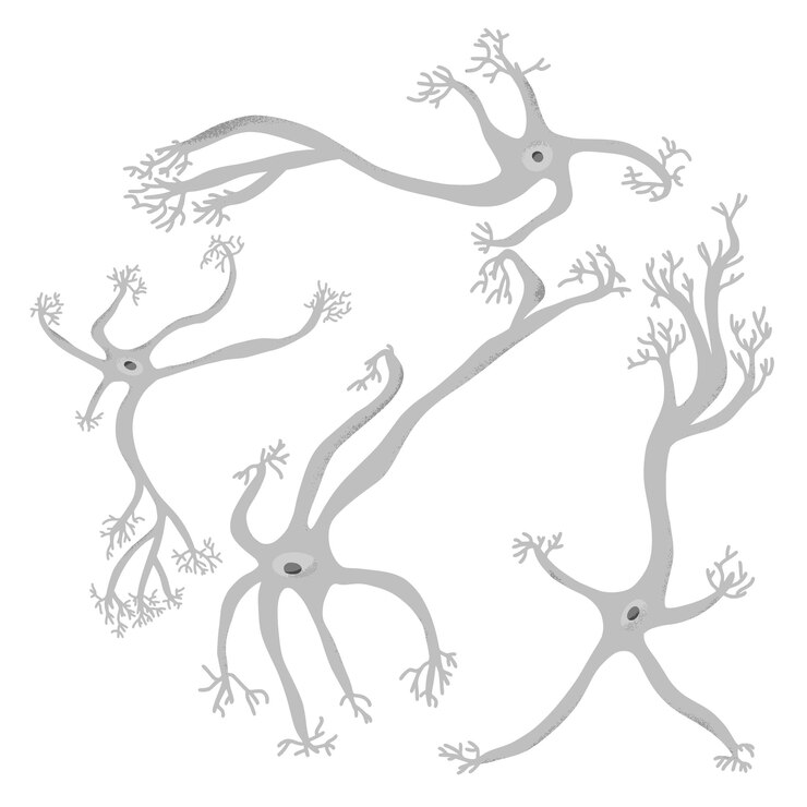 Vector ilustración del diseño sencillo de las células neuronales vectoriales