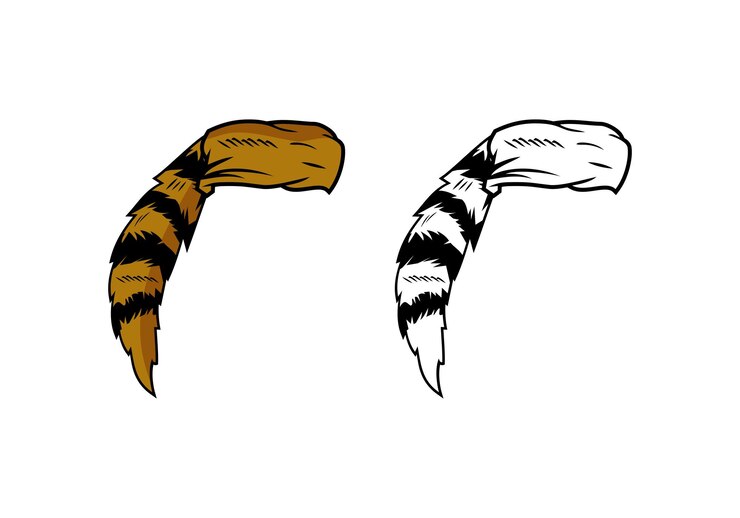Vector ilustración del diseño del sombrero de piel de ratón