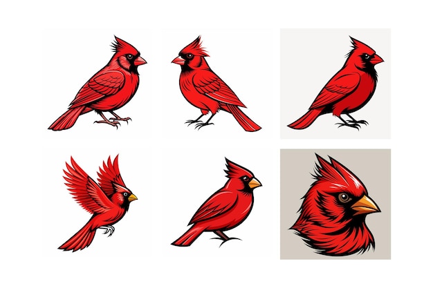 Ilustración del diseño del vector aislado de los íconos cardinales del norte