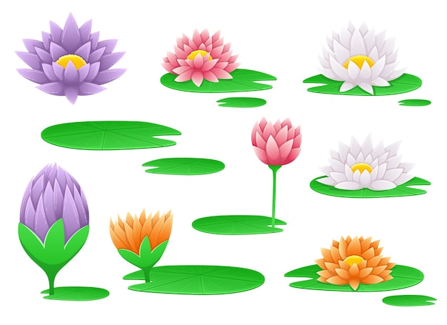 Ilustración de diseño de vector de flor de lirio de agua aislado sobre fondo