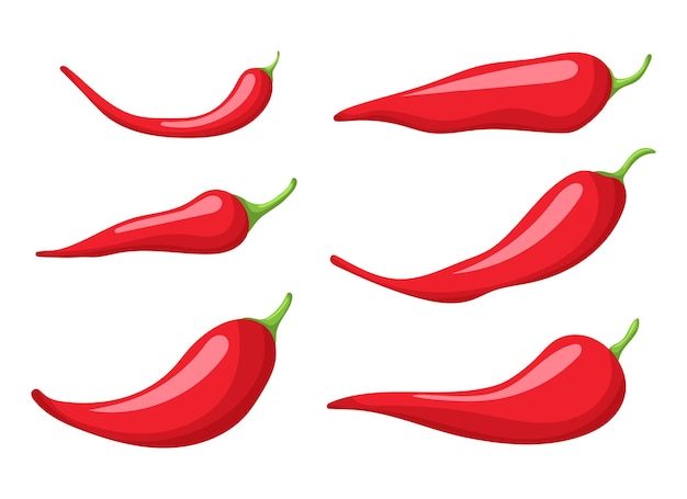 Ilustración de diseño de vector de pimienta picante aislado sobre fondo blanco