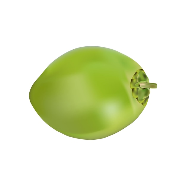Ilustración de un diseño vectorial de coco verde sobre un fondo blanco