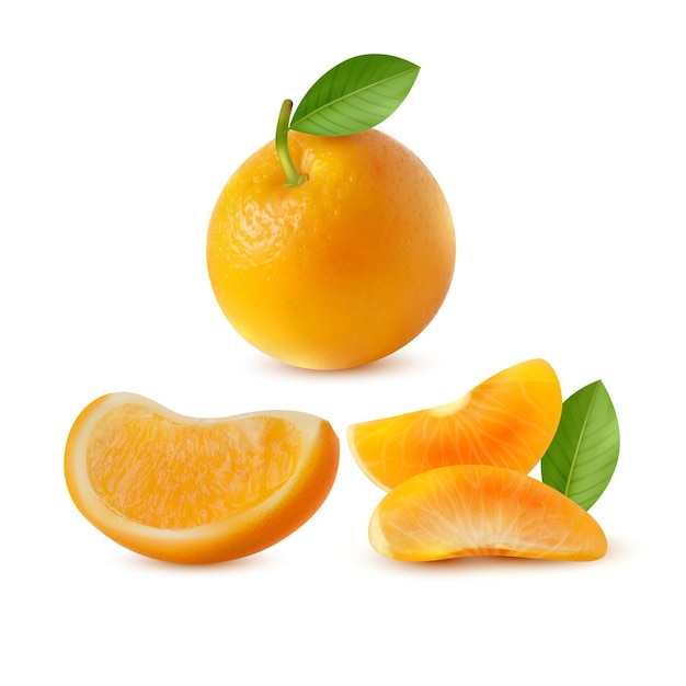 Ilustración de diseño vectorial de deliciosas frutas de naranja aisladas sobre un fondo blanco