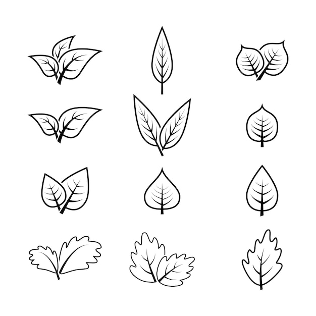 Ilustración de diseño vectorial gráfico del conjunto de iconos de hojas