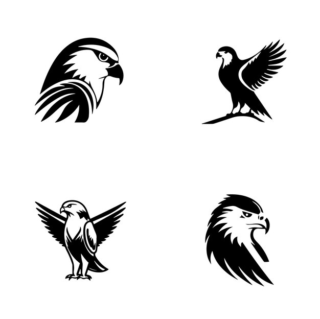 Ilustración de diseño vectorial del logotipo de Falcon Set