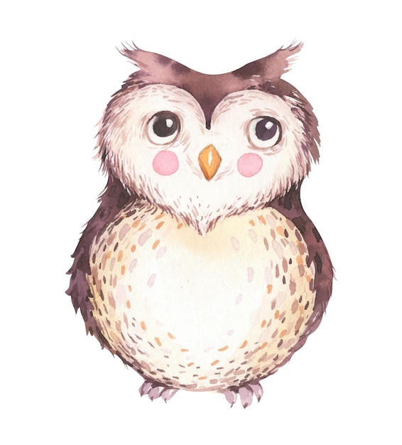 Ilustración divertida para niños con acuarela con búho dibujo de animales dibujado a mano pintura de pájaro búho perfecto para camisetas tarjetas de impresión tarjetas postales