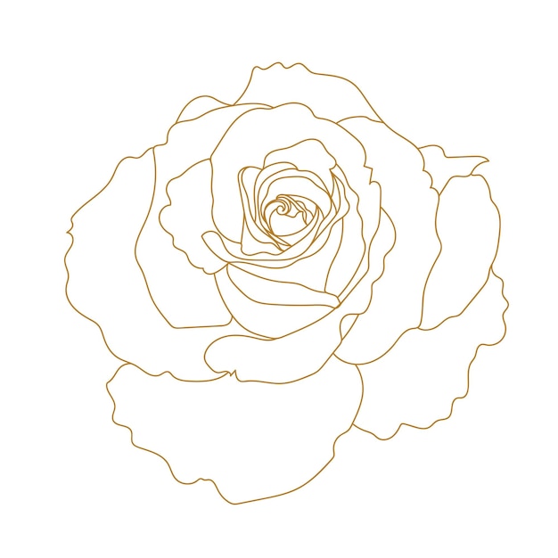 Ilustración dorada de flor aislada sobre fondo blanco vector