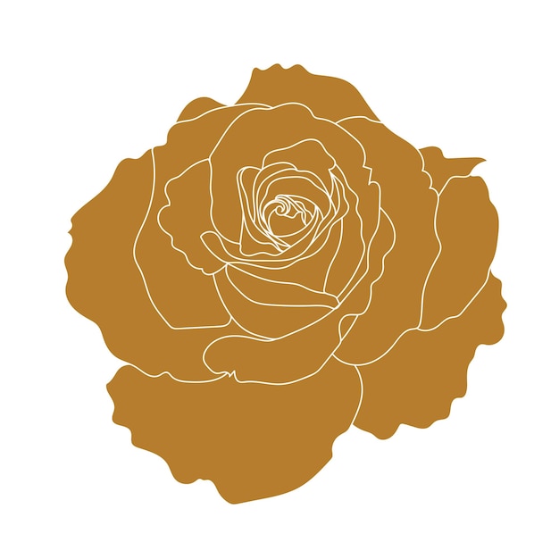 Vector ilustración dorada de flor aislada sobre fondo blanco vector