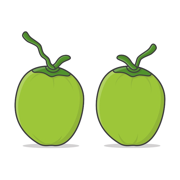 Vector ilustración de dos cocos verdes. cocos tiernos frescos