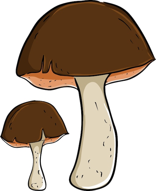 Ilustración dos setas cosecha de otoño