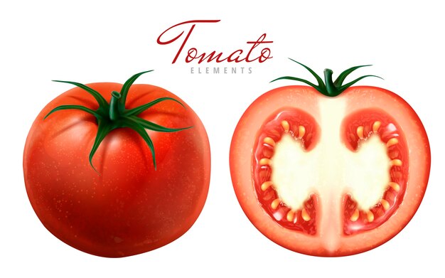 Ilustración de dos tomates uno en rodajas ilustración 3d de fondo blanco