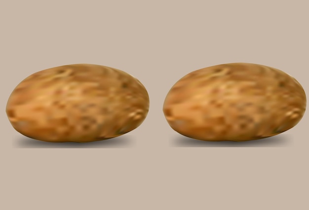 Ilustración de dos vectores de patatas