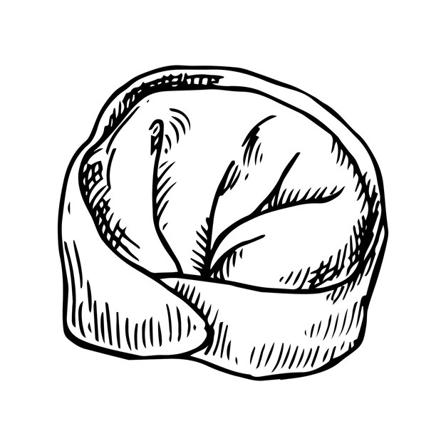 Ilustración de dumplings asiáticos en estilo boceto comida congelada de conveniencia
