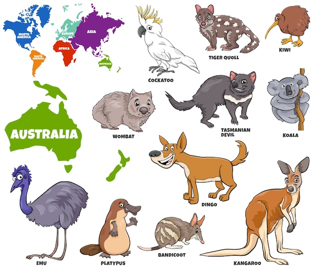 Vector ilustración educativa de animales australianos establecidos.