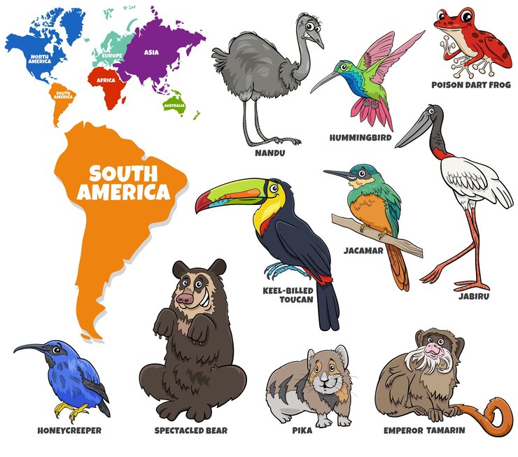 Vector ilustración educativa del conjunto de animales sudamericanos de dibujos animados