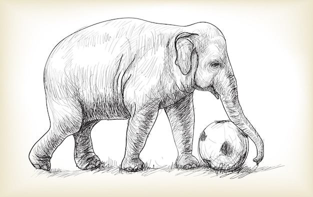 Vector ilustración de elefante jugando al fútbol