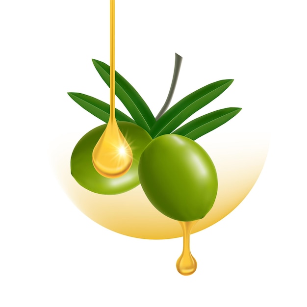 La ilustración elegante del aceite de oliva fresco.