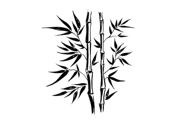 Ilustración elegante del bambú
