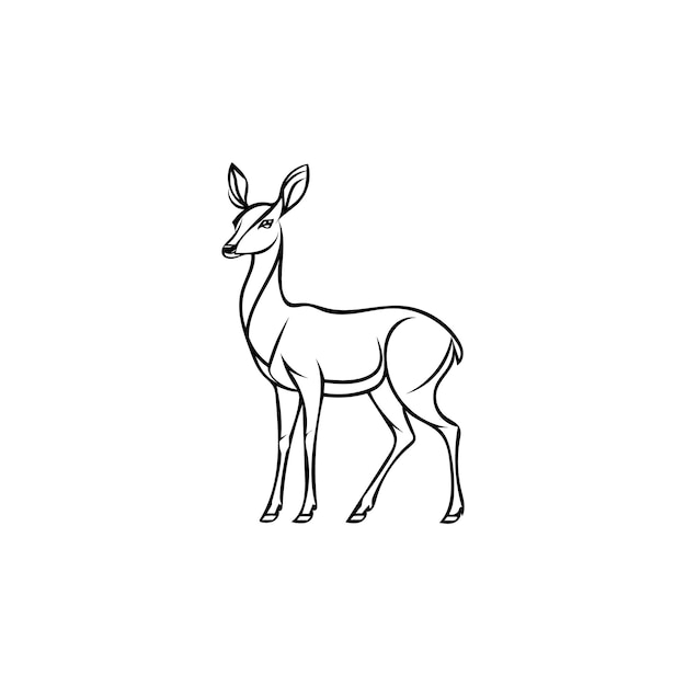 Ilustración elegante de Doe