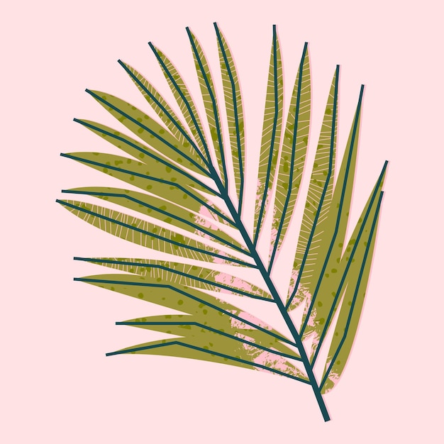 Ilustración elegante con una hoja de palma sobre un fondo rosa Diseño de impresión de tarjeta vectorial