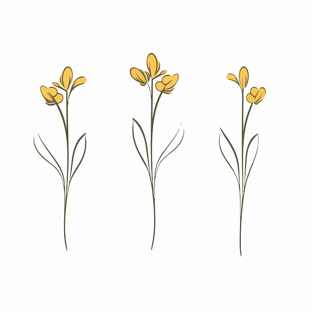 Ilustración elegante de prímula representada en vector