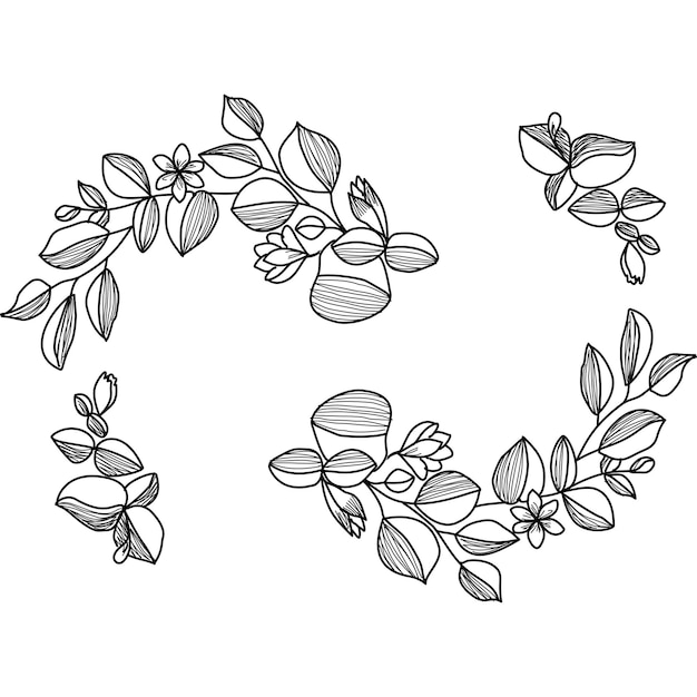 Ilustración de elegantes ramas y hojas florales