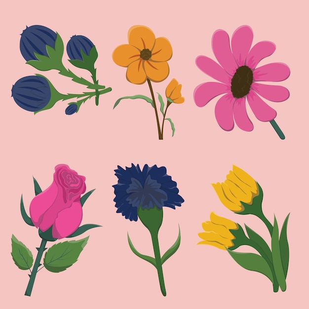 Ilustración elemental de las flores