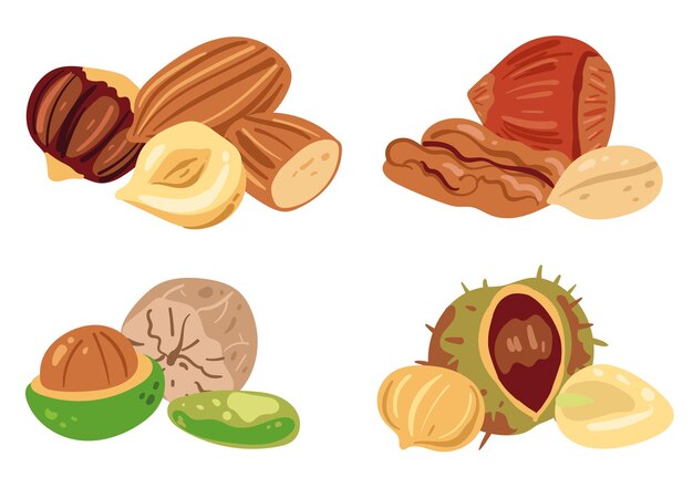 Ilustración de elemento de diseño de dibujos animados planos de colección de conjunto aislado de nueces