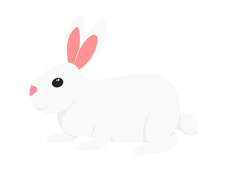 Vector ilustración del elemento de la primavera del conejo
