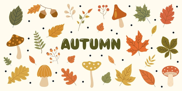 Ilustración de elementos de otoño dibujada a mano hojas de otoño setas bellotas bayas para tarjetas de felicitación