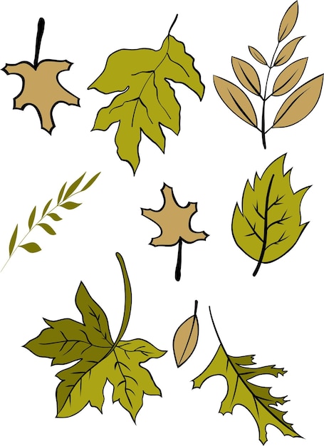 Vector ilustración de elementos de otoño dibujados a mano
