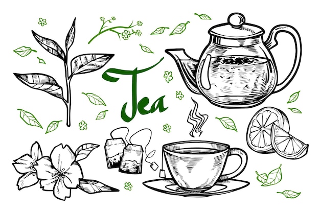 Vector ilustración de elementos de té dibujados a mano