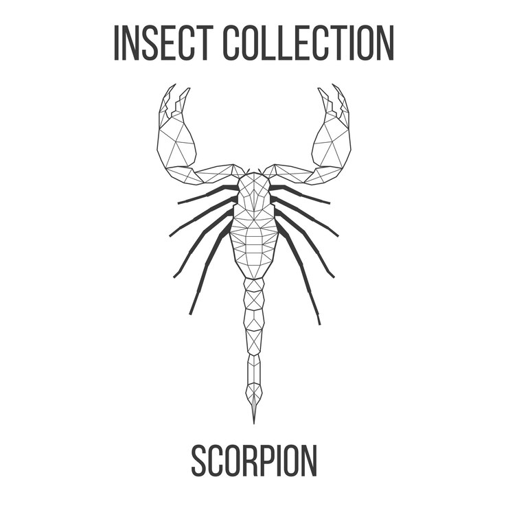 Vector ilustración de elementos vintage de líneas geométricas de insectos escorpión aisladas en fondo blanco