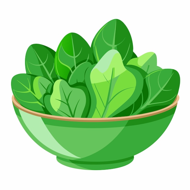 Ilustración de ensalada vectorial fresca y crujiente aislada sobre un fondo blanco