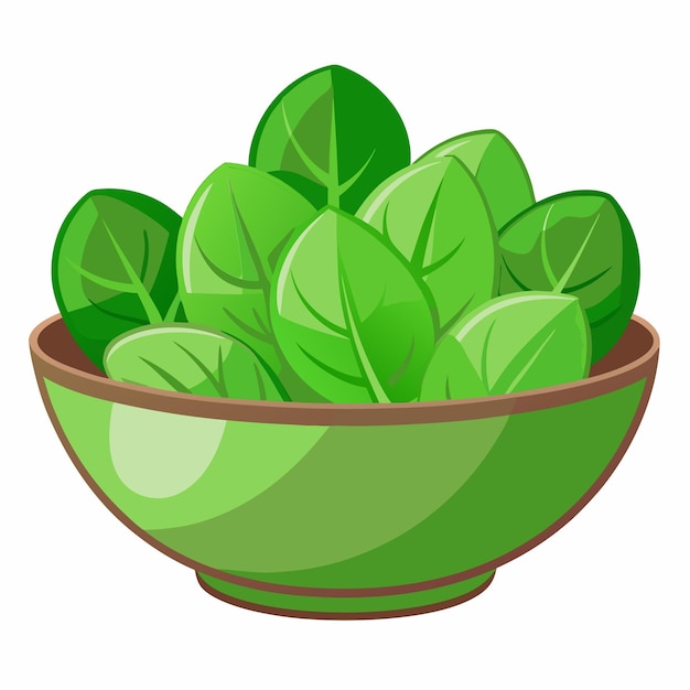 Ilustración de ensalada vectorial fresca y crujiente aislada sobre un fondo blanco