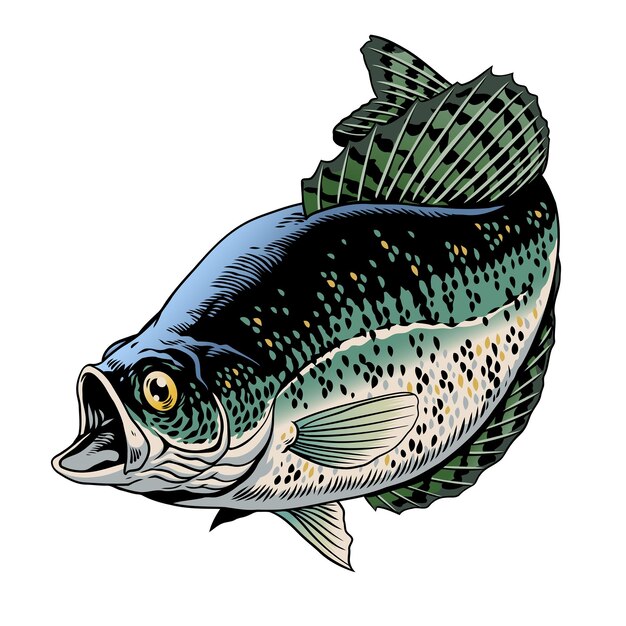 Ilustración de la época de los peces de color Crappie