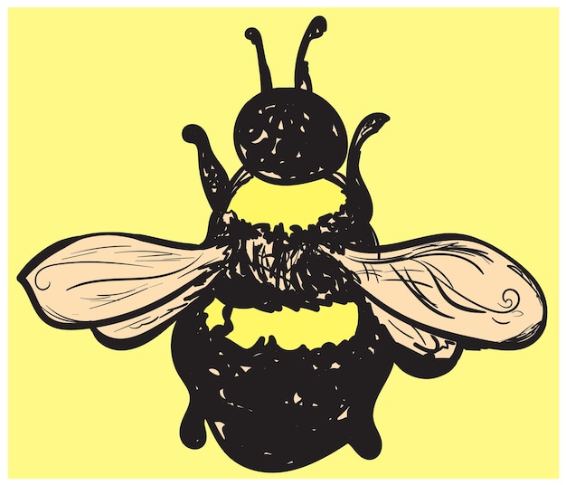 Ilustración de esbozo de abeja