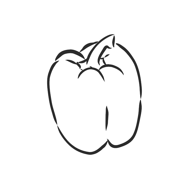 Ilustración de esbozo de vector de pimiento morrón