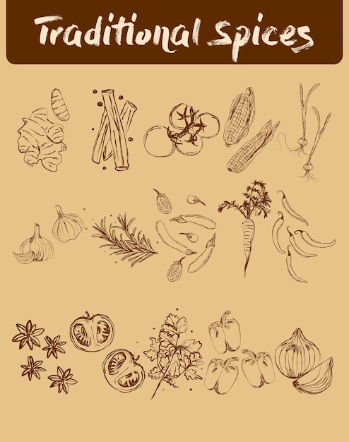 Ilustración de especias tradicionales en estilo boceto